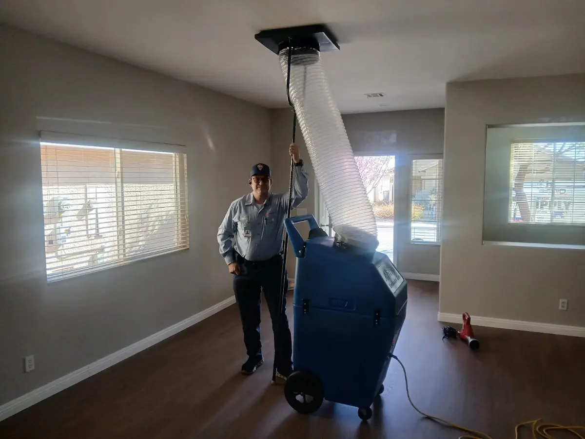 Professional Dryer Vent Cleaning work inside a Rogers home